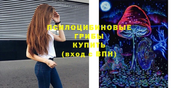 шишки Валуйки