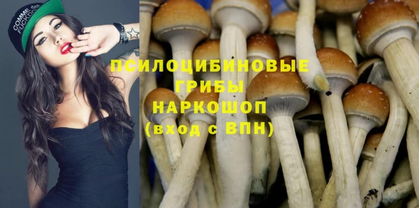 ПСИЛОЦИБИНОВЫЕ ГРИБЫ Баксан