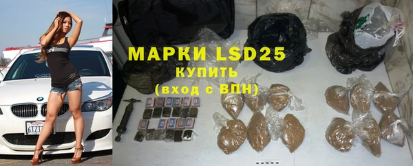 ПСИЛОЦИБИНОВЫЕ ГРИБЫ Баксан