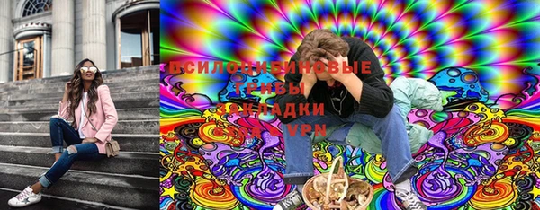 крисы Няндома